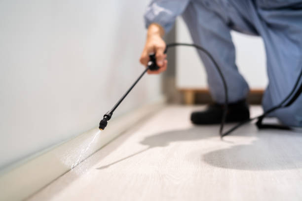 Certified termite inspector examining foundation in Danielson